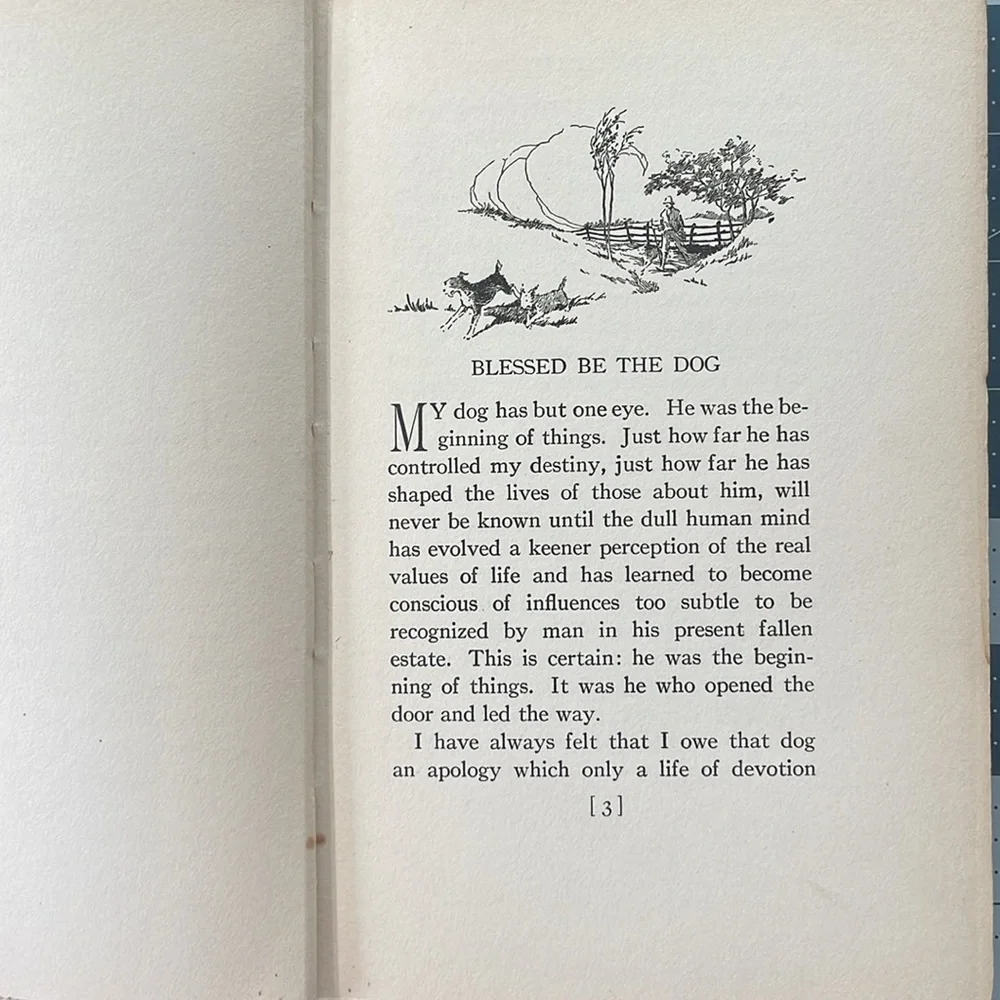Bucolic Beatitudes by Rusticus, Illustrated by Decie Merwin, Little Brown 1927